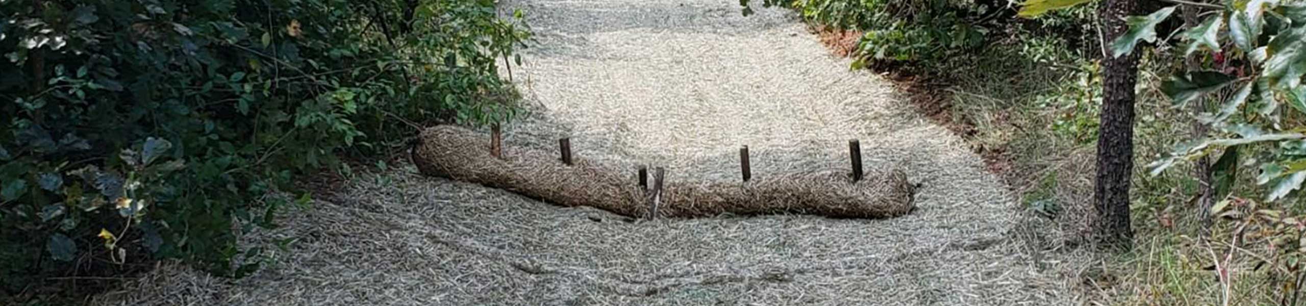 erosion-1 image